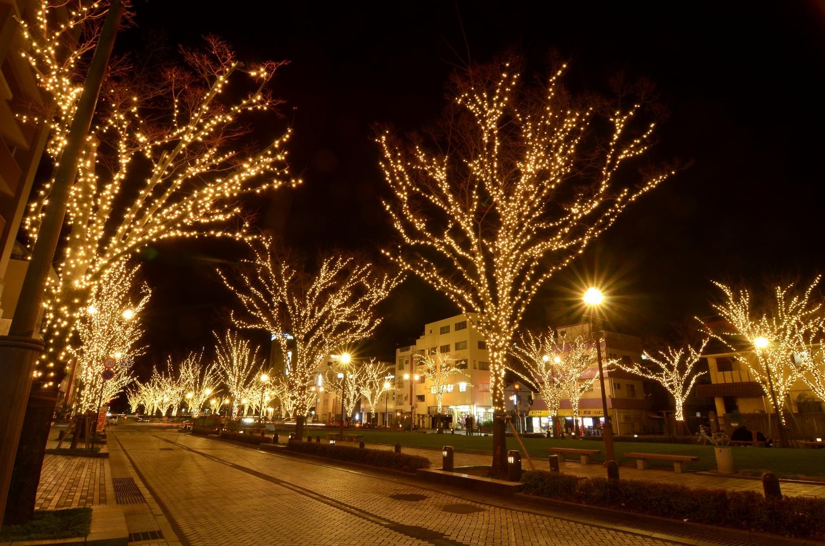 🌳 니오도리 공원(니오도리 코엔) 이미지 12